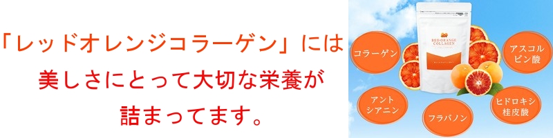 �y�R���[�Q�����ԓ��z���T�C�g